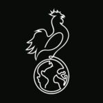 Chicken International 🐥🌎